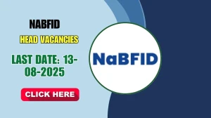 NaBFID Head Recruitment 2025 - Apply Offline