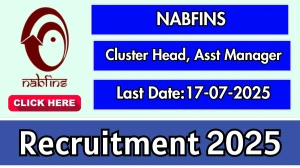 NABFINS Recruitment 2025 - Apply Online for Cluster Head, Assistant Manager Posts