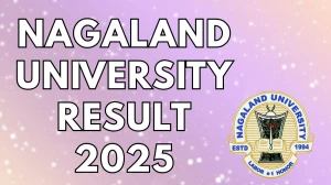 Nagaland University Result 2025 Released at nagalanduniversity.ac.in Direct Link to Download 2nd Semester Result