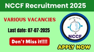 NCCF Recruitment 2025 - Apply Offline for 27 Assistant Manager, Hindi Officer and Other Posts