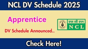 NCL Apprentice DV Schedule 2025: Check Document Verification Date @ nclcil.in NCL Apprentice DV Schedule 2025: Check Document Verification Date @ nclcil.in