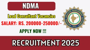 NDMA Lead Consultant Recruitment 2025 - Apply Online NDMA Lead Consultant Recruitment 2025 - Apply Online