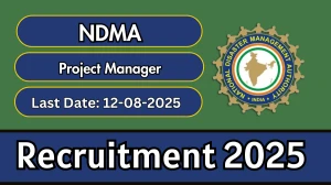 NDMA Project Manager Recruitment 2025 - Apply Online for 02 Posts
