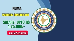NDMA Recruitment 2025 - Apply Online for 05 Senior Consultant, Young Consultant Posts