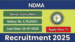 NDMA Senior Consultant Recruitment 2025 - Apply Online