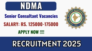 NDMA Senior Consultant Recruitment 2025 - Apply Online