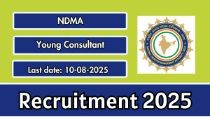 NDMA Young Consultant Recruitment 2025 - Apply Online