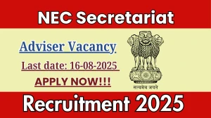 NEC Secretariat Adviser Recruitment 2025 - Apply Offline