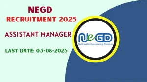 NeGD Assistant Manager Recruitment 2025 - Apply Online for 01 Posts