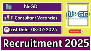 NeGD Consultant Recruitment 2025 - Apply Online for 01 Posts