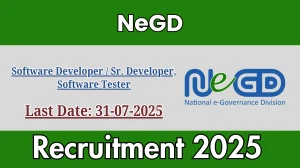 NeGD Recruitment 2025 - Apply Online for 02 Software Developer / Sr. Developer, Software Tester Posts