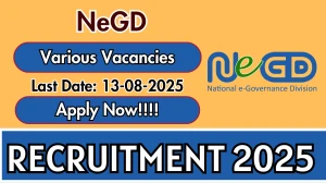 NeGD Recruitment 2025 - Apply Online for 03 Data Engineer, Product Manager and More Posts