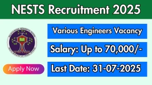 NESTS Recruitment 2025 - Apply Offline for 2 Senior Data Science or Analytics Engineers A, B Posts