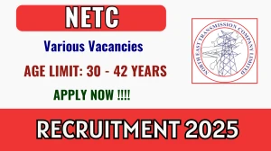 NETC Recruitment 2025 - Apply Offline for 04 Engineer, Assistant Manager and More Posts