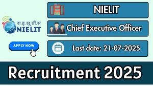 NIELIT Chief Executive Officer Recruitment 2025 - Apply Offline