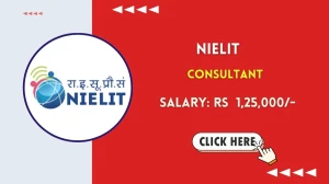 NIELIT Consultant Recruitment 2025 – Walk in