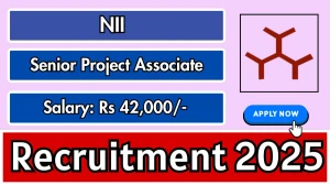 NII Senior Project Associate Recruitment 2025 - Apply Offline