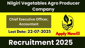 Nilgiri Vegetables Agro Producer Company Recruitment 2025 - Apply Offline for 02 Chief Executive Officer, Accountant Posts