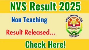 NVS Non Teaching Result 2025 Out at navodaya.gov.in, Direct Link to Download Result PDF Here
