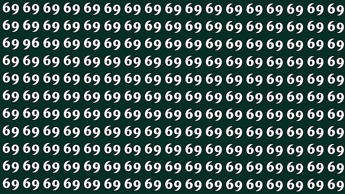 Observation Find it Out: Within 7 Seconds Spot The Number 96 among 69