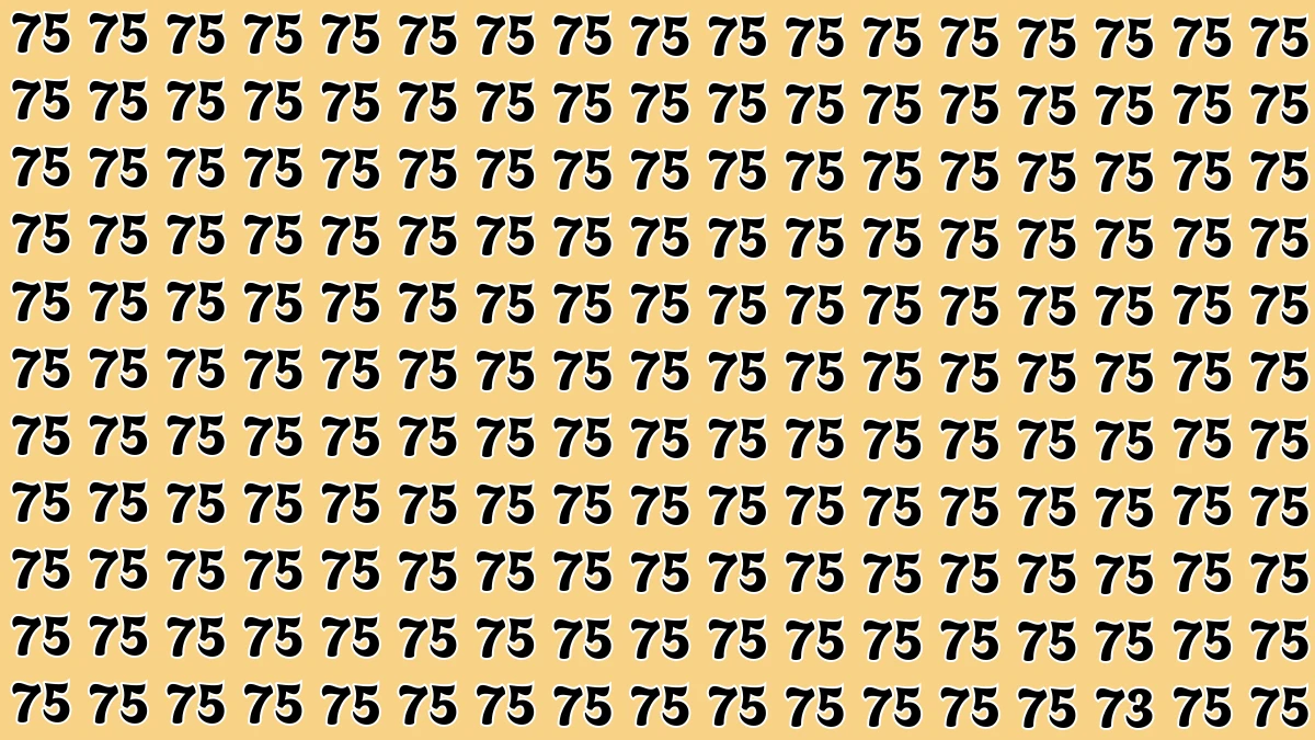 Observation Find it Out: Within 8 Seconds Spot The Number 73 among 75