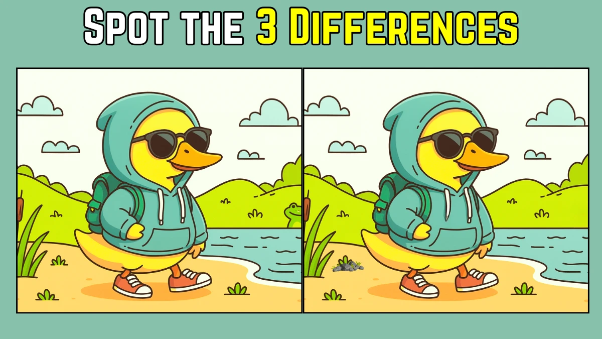 Only the sharpest eyes can spot 3 differences in the Duck Wearing Jacket Image in 8 Secs
