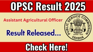 OPSC AAO Result 2025 Out at opsc.gov.in, Direct Link to Download Result PDF Here OPSC AAO Result 2025 Out at opsc.gov.in, Direct Link to Download Result PDF Here