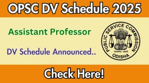 OPSC Assistant Professor DV Schedule 2025: Check Document Verification Date @ opsc.gov.in OPSC Assistant Professor DV Schedule 2025: Check Document Verification Date @ opsc.gov.in