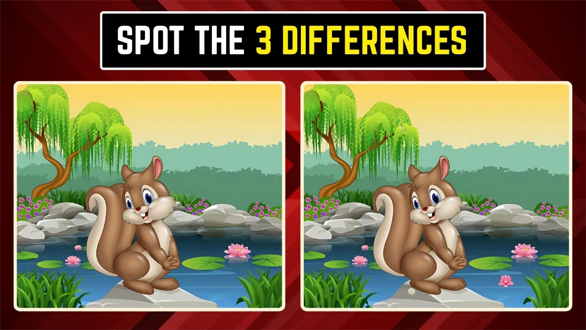 Optical Illusion Eye Test: Within 9 Secs Spot the 3 Differences in the Squirrel Pictures