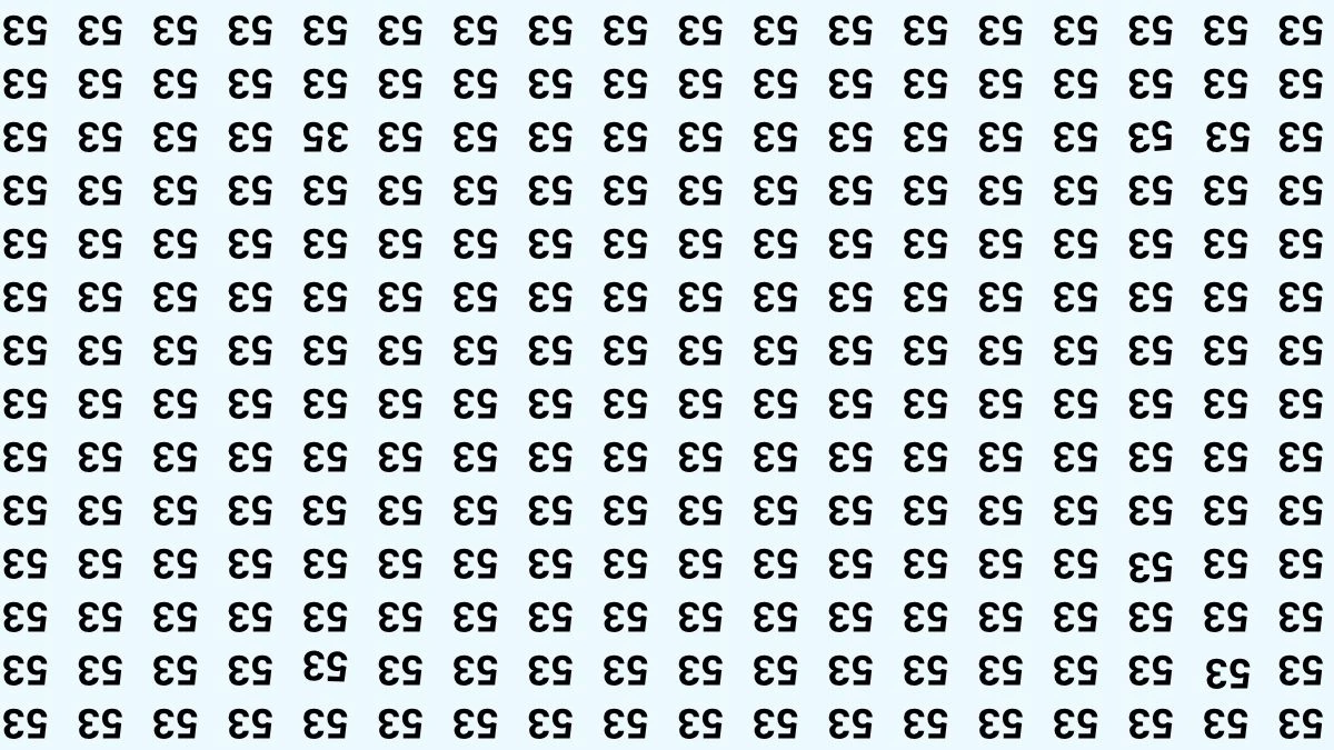 Optical Illusion IQ Test: Are You A Genius? Within 5 Seconds Spot The Inverted 35 among Inverted 53s