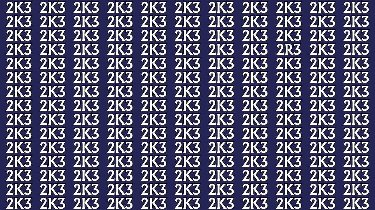 Optical Illusion: Only Sharp Eyes Can Find the Hidden 2R3 among 2K3s within 8 Seconds