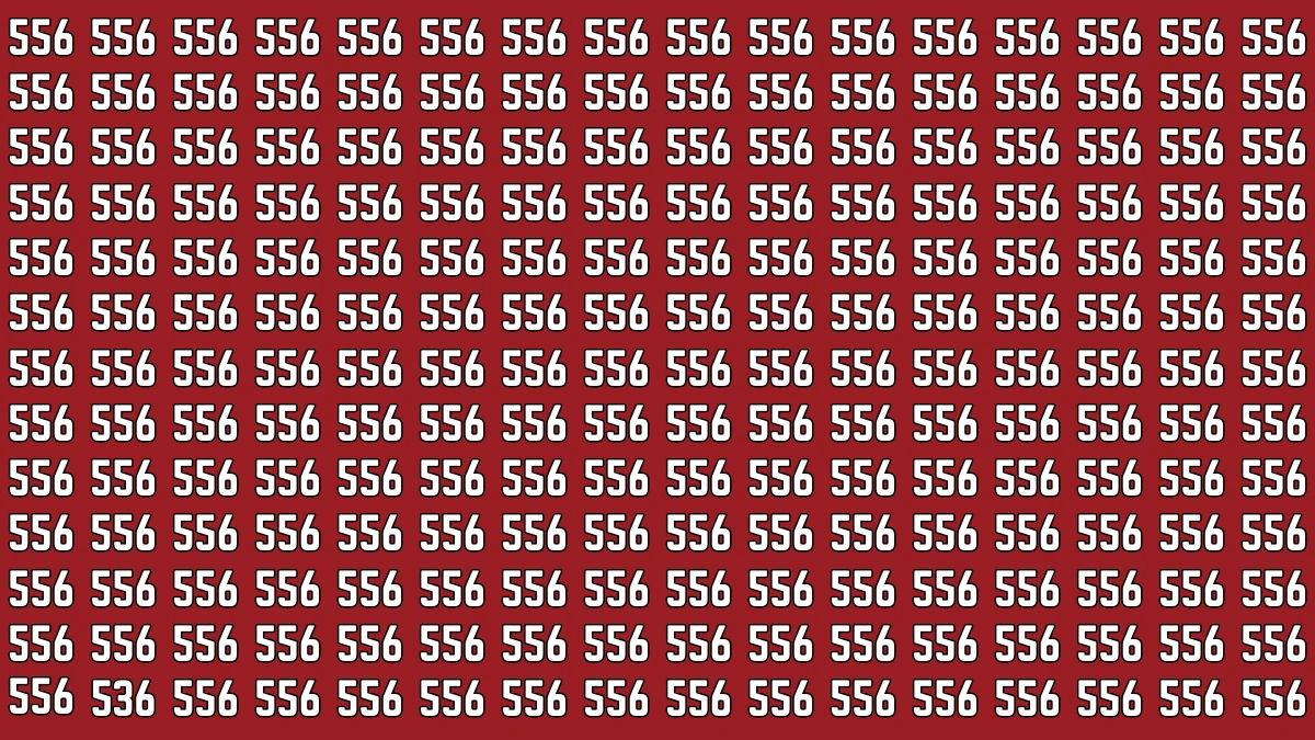 Optical Illusion: Within 5 Seconds If You Can Spot 536, Your Brain Works Differently!