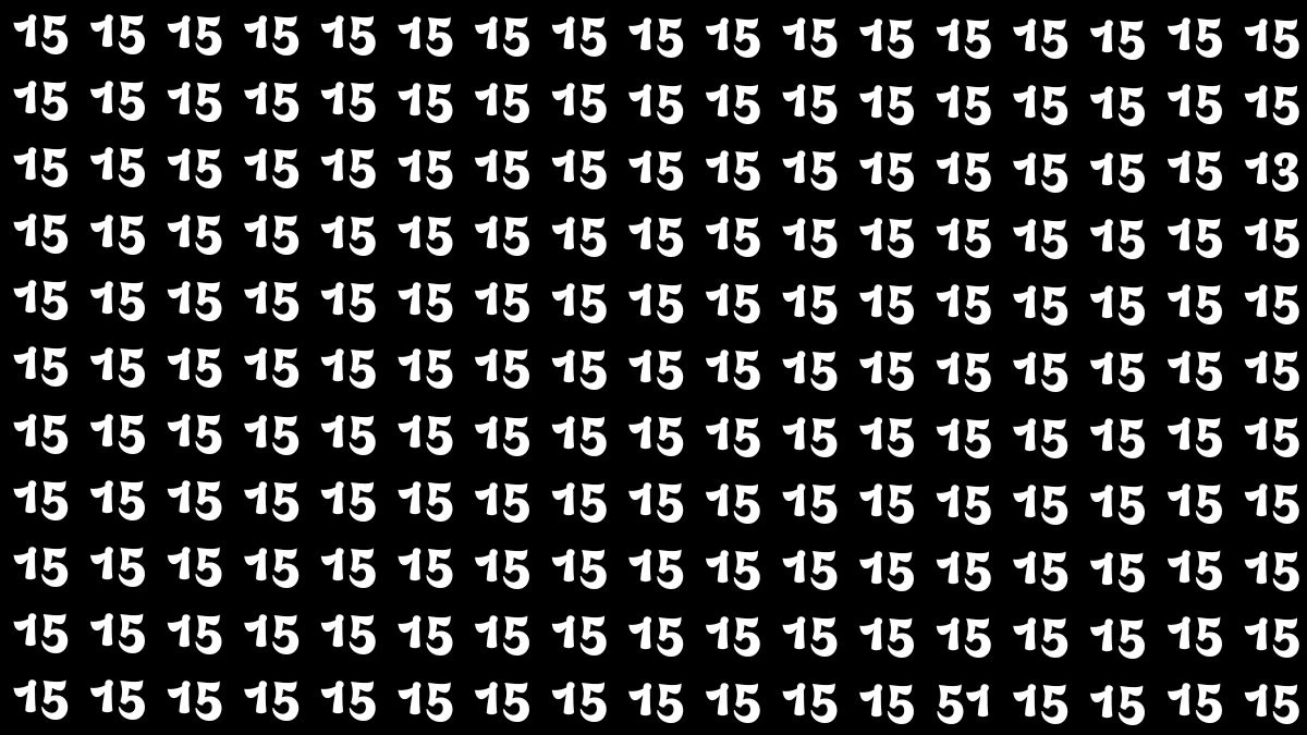 Optical Illusion: Within 5 Seconds Spot The Number 13 and 51 among 15