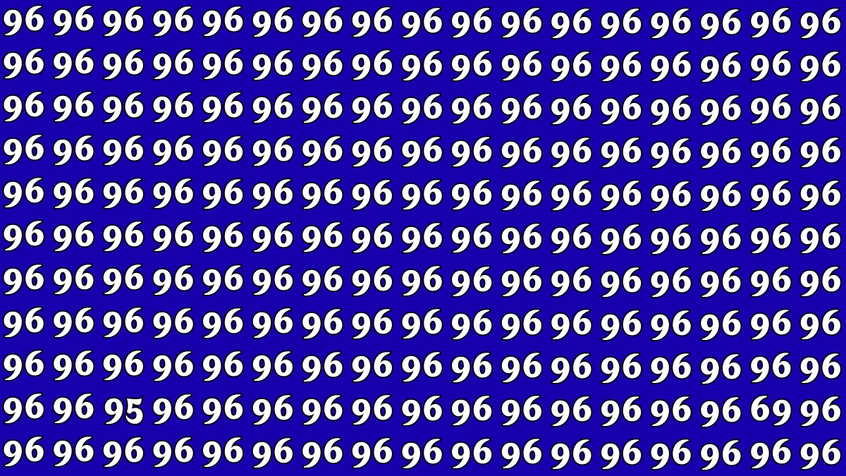 Optical Illusion: Within 6 Seconds Spot The Number 95 and 69 among 96
