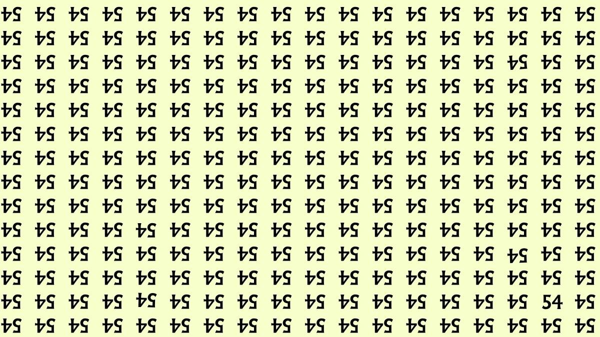 Optical Illusion: Within 7 Seconds Spot The Number 54 among Inverted 54s