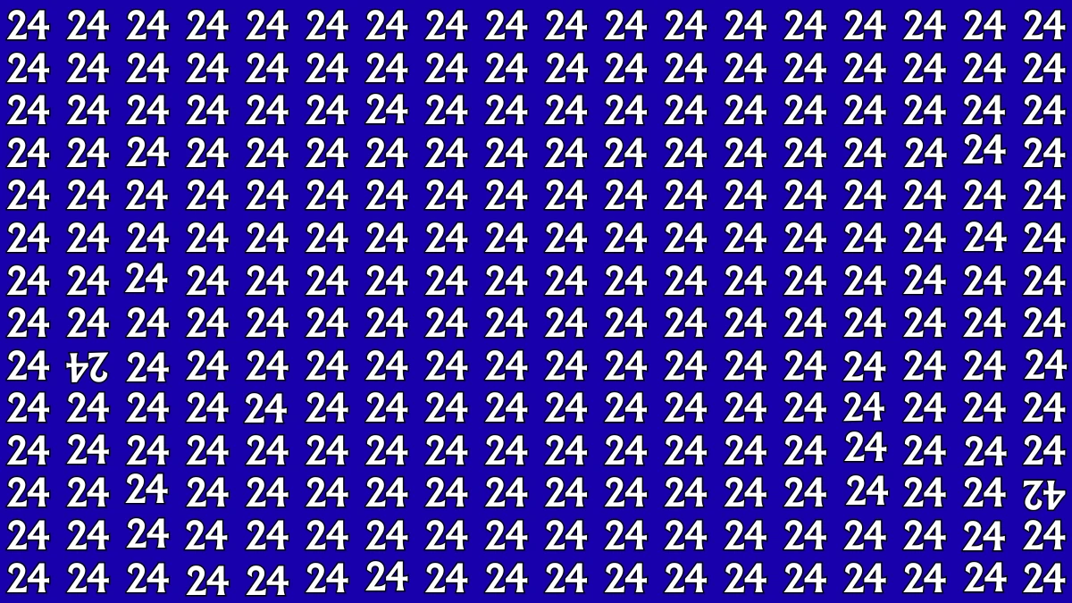 Optical Illusion: Within 8 Seconds Spot The Inverted 24 and 42 among 24s