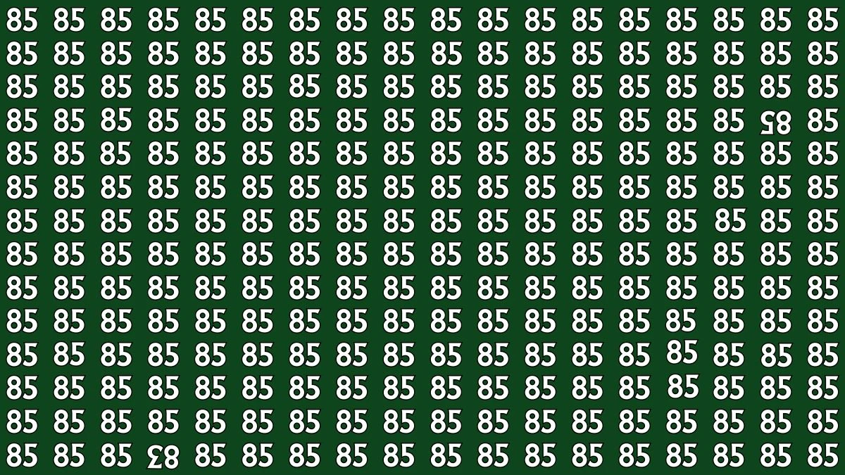 Optical Illusion: Within 8 Seconds Spot The Inverted 83 and 85 among 85s