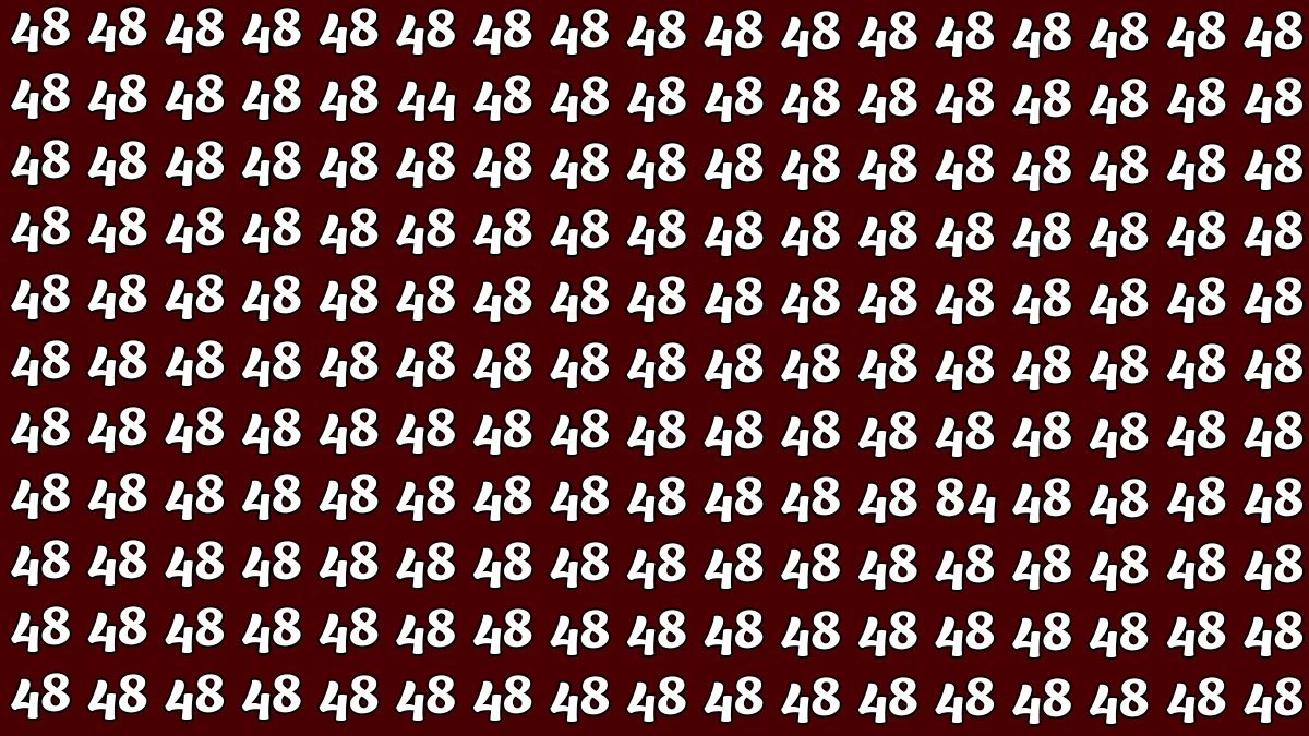 Optical Illusion: Within 8 Seconds Spot The Number 44 and 84 among 48