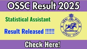 OSSC Statistical Assistant Result 2025 Out at ossc.gov.in, Direct Link to Download Result PDF Here