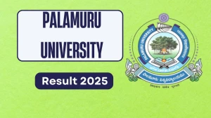 Palamuru University Result 2025 Out at palamuruuniversity.com Direct Link to Download 3rd Sem Result Palamuru University Result 2025 Out at palamuruuniversity.com Direct Link to Download 3rd Sem Result
