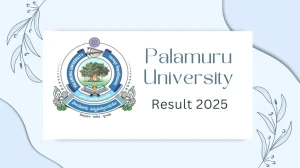 Palamuru University Result 2025 Released at palamuruuniversity.com Direct Link to Download 1st, 2nd, 3rd, 4th, 5th, 6th, 7th, 8th Sem Result Palamuru University Result 2025 Released at palamuruuniversity.com Direct Link to Download 1st, 2nd, 3rd, 4th, 5th, 6th, 7th, 8th Sem Result