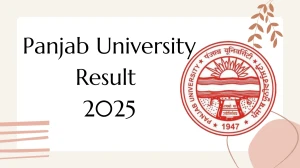 Panjab University Result 2025 Released at puexam.in Direct Link to Download 1st, 4th, 6th, 8th and 8th Semester Result