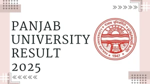 Panjab University Result 2025 Released at puexam.in Direct Link to Download 1st, 6th and 8th Semester Result