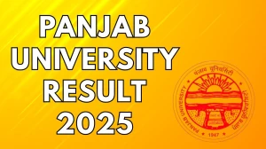 Panjab University Result 2025 Released at puexam.in Direct Link to Download 1st and 2nd Semester Result