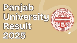 Panjab University Result 2025 Released at puexam.in Direct Link to Download 1st Semester Result