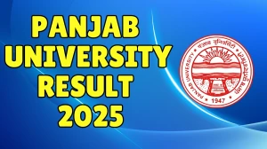 Panjab University Result 2025 Released at puexam.in Direct Link to Download 2nd, 3rd, and 5th Semester Result