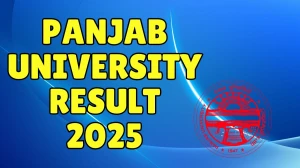 Panjab University Result 2025 Released at puexam.in Direct Link to Download 2nd, 4th and 6th Semester Result