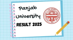Panjab University Result 2025 Released at puexam.in Direct Link to Download 2nd and 4th Semester Result