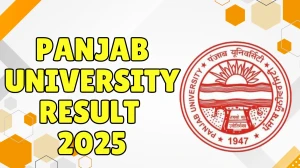 Panjab University Result 2025 Released at puexam.in Direct Link to Download 2nd Semester Result