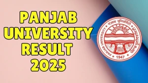 Panjab University Result 2025 Released at puexam.in Direct Link to Download 4th and 8th Semester Result